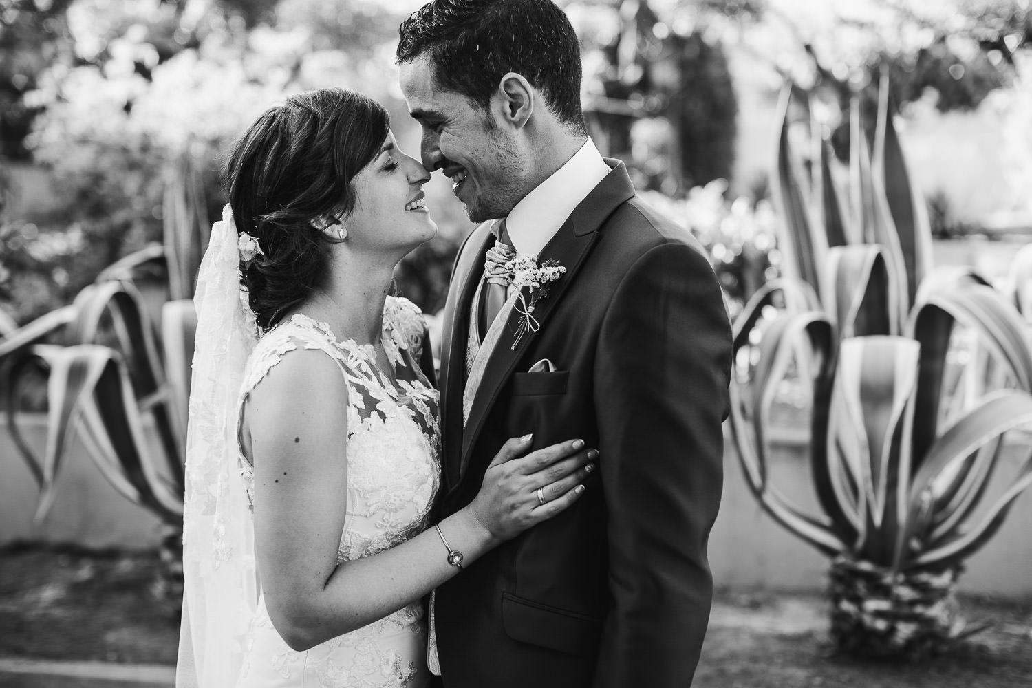 Boda en Granadilla cisne negro 0029