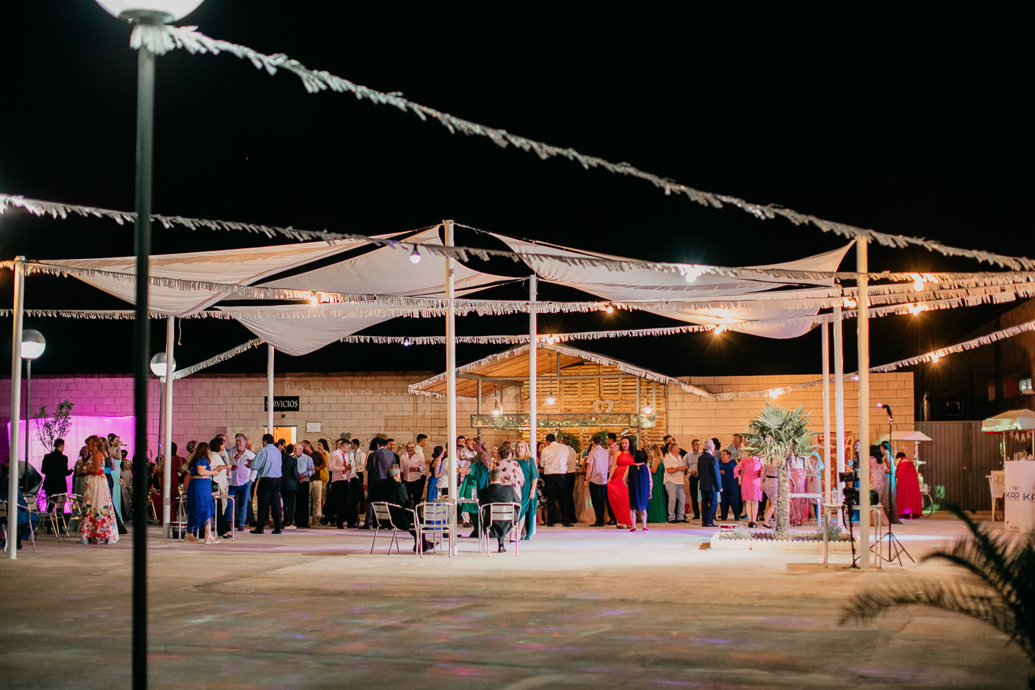 Boda en Granadilla cisne negro 0045