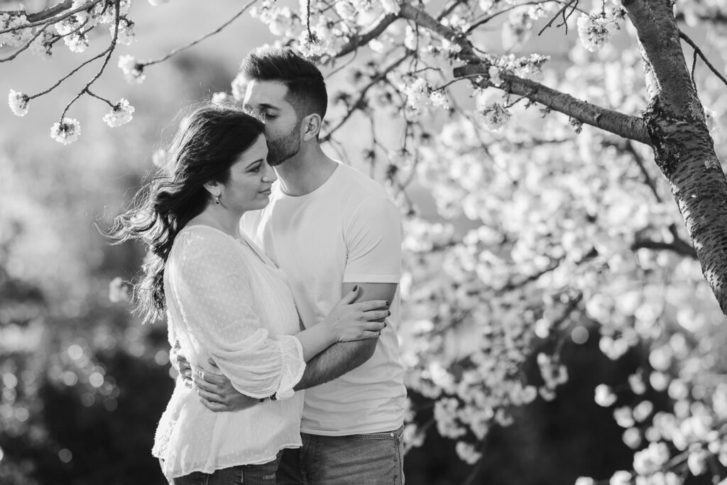 Preboda entre cerezos en flor en el Valle del Jerte