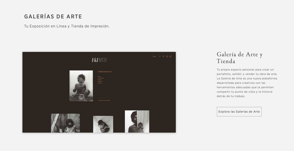 Pic-Time la solución para fotógrafos profesionales 7 Captura de Pantalla 2023 02 06 a las 11.51.36