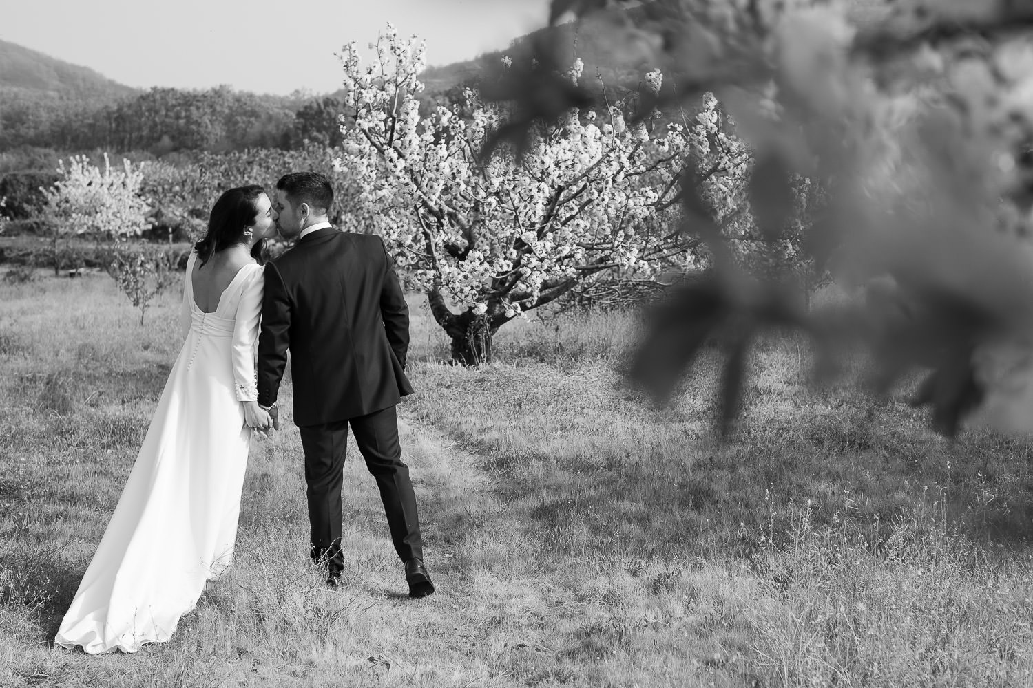 Postboda entre cerezos en Flor y el río Jerte 5 Postboda entre cerezos en Flor y el rio Jerte 00005